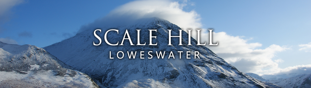scalehillbanner2