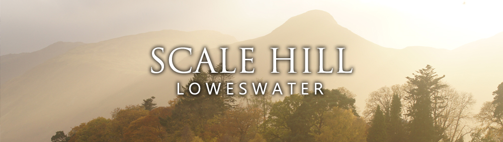 scalehillbanner3