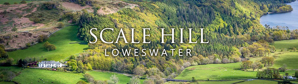 scalehillbanner4